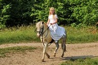 Fotograf ślubny Skarżysko-Kamienna Foto-Mari